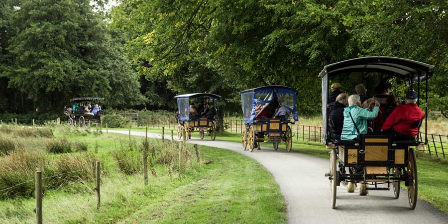 Riding a traditional Jaunting Car to Ross Castle